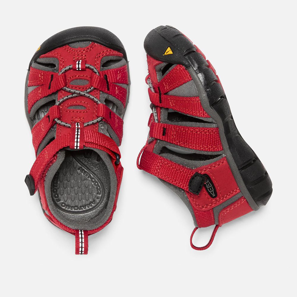 Sandalias Keen Mexico Rojos - Niños Seacamp Ii Cnx - NP8235467